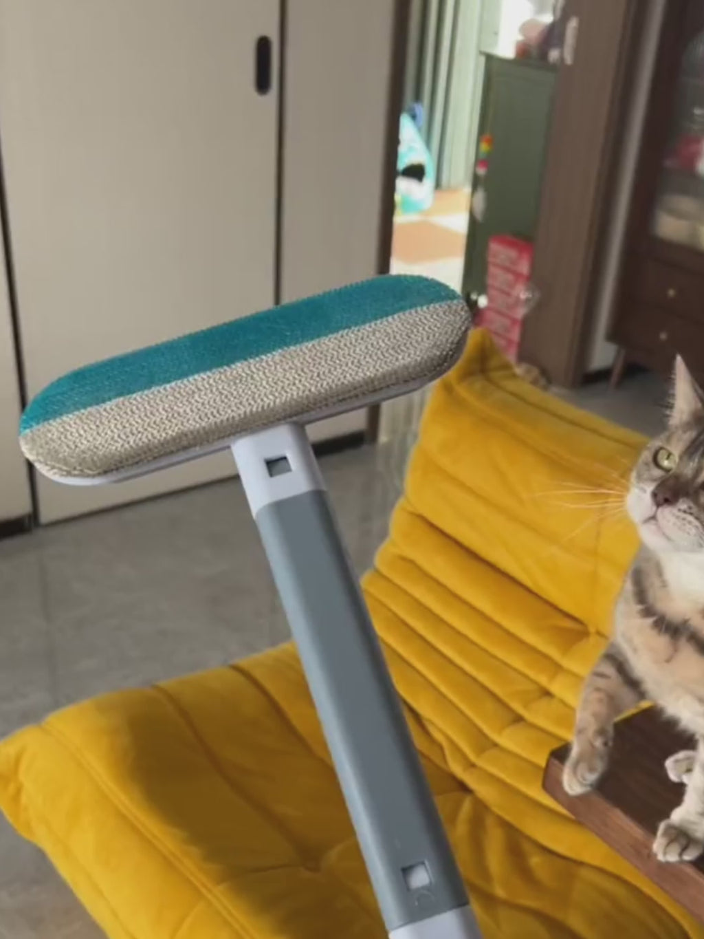 ShedLess Multi-Surface Pet Hair Remover
